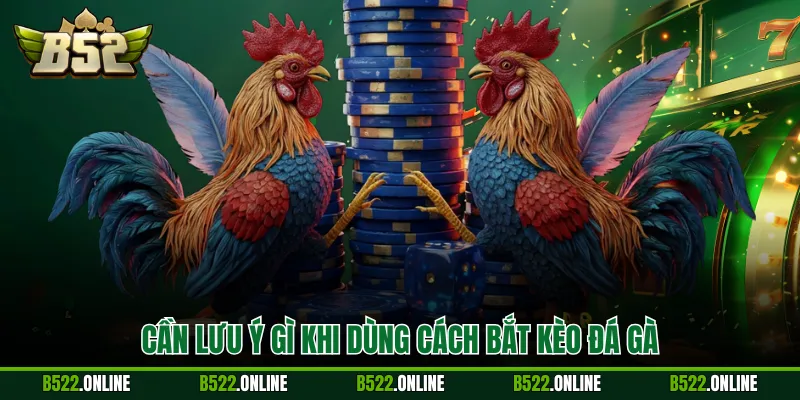 Cần lưu ý gì khi dùng cách bắt kèo đá gà