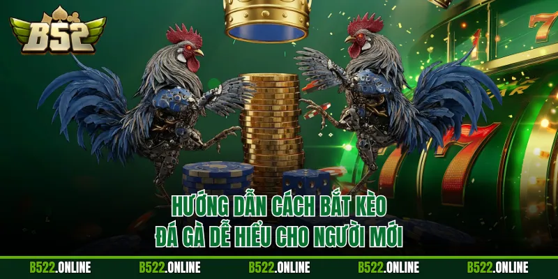 Hướng dẫn cách bắt kèo đá gà dễ hiểu cho người mới