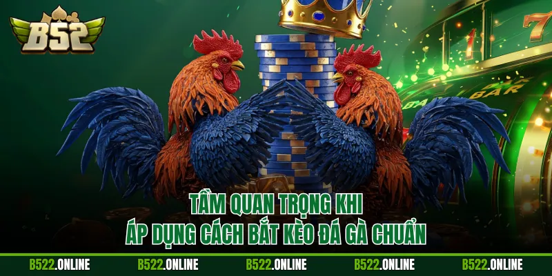 Tầm quan trọng khi áp dụng cách bắt kèo đá gà chuẩn